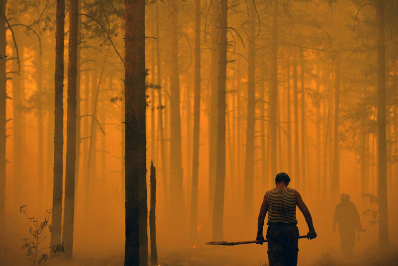 Forest fire emergency response