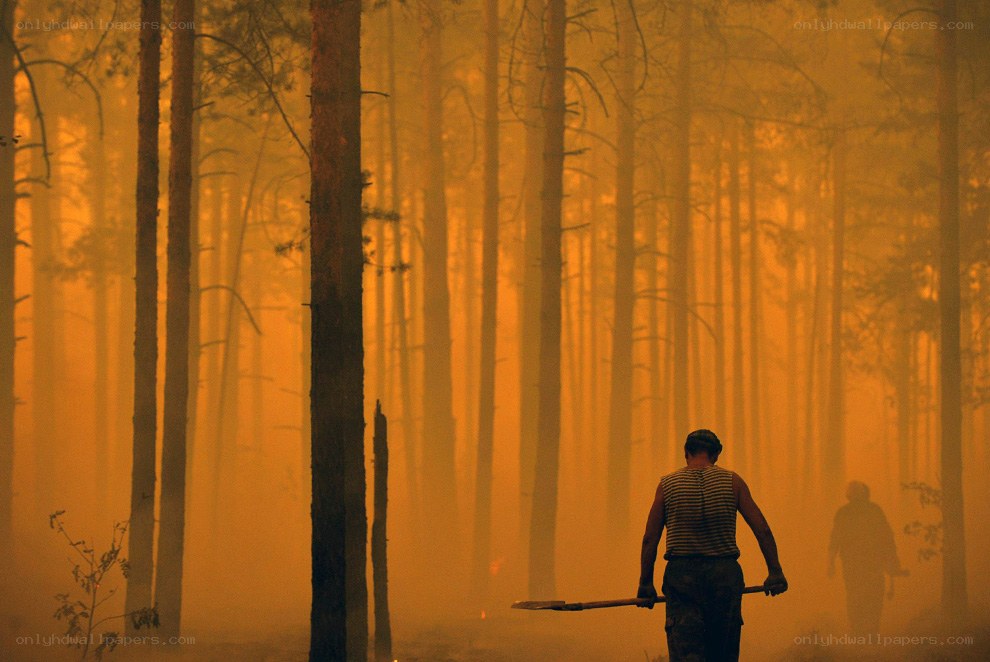 Forest fire emergency response