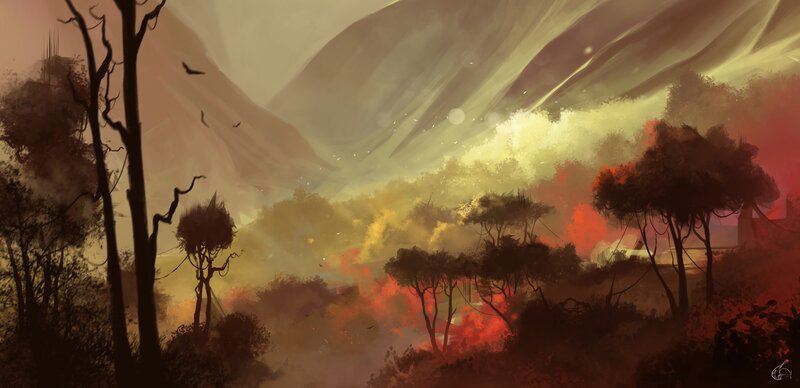 Forest Fire in Valley