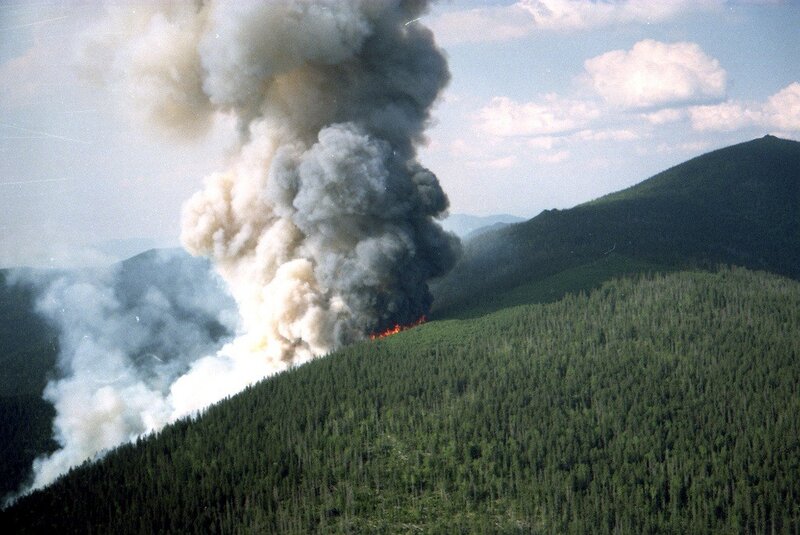 Forest fire on a mountain