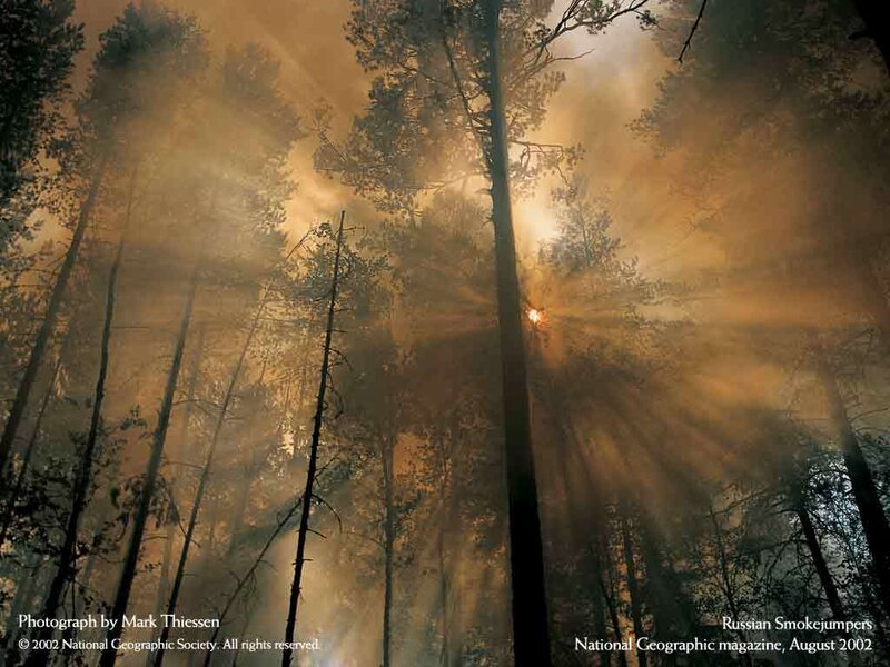 Forest Fire Smoke — Orange, Dramatic