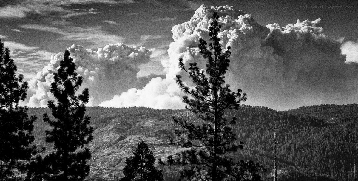 Forest fire smoke plume
