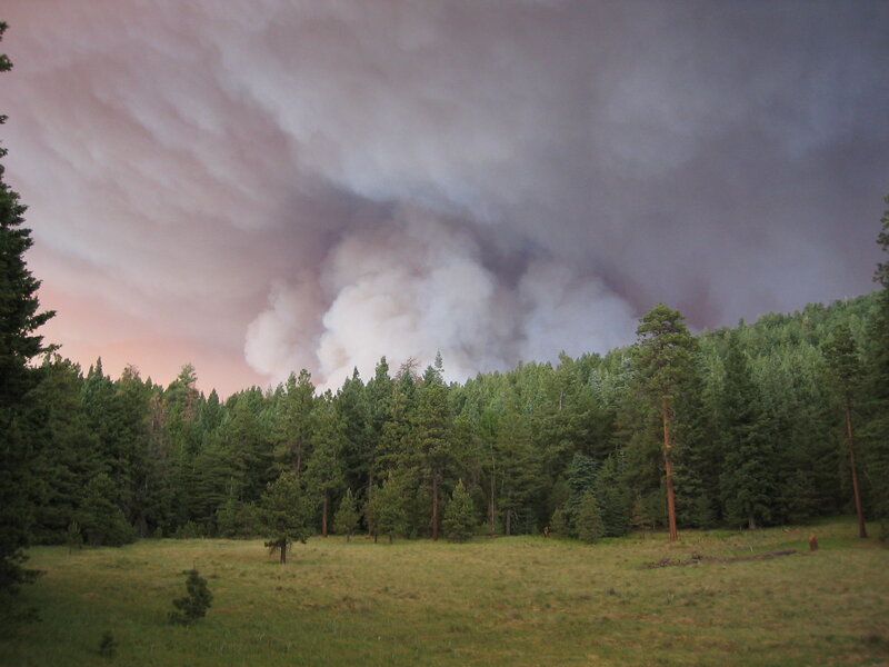 Forest fire smoke plume
