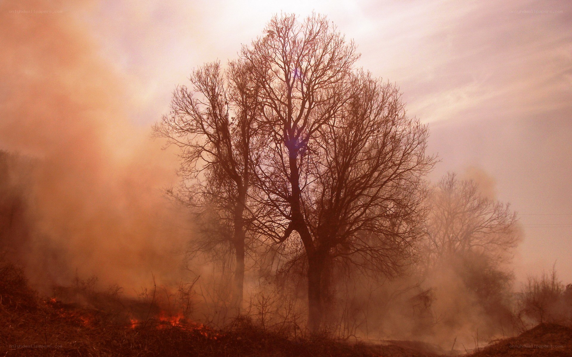Forest fire with smoke and flames