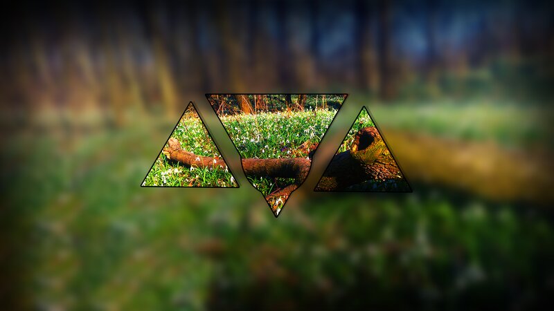Forest Floor with Snowdrops