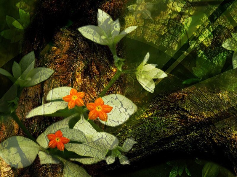 Forest flowers with cracked leaves