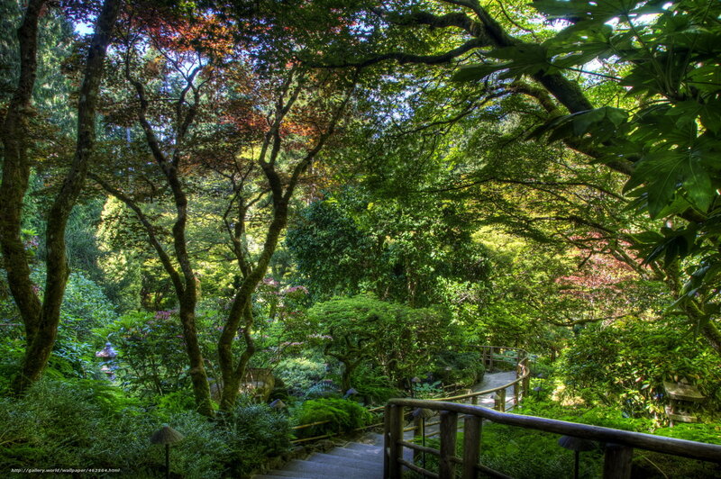 Forest garden path