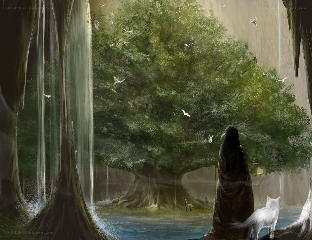 Forest guardian with white wolf
