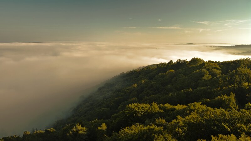 Forest Hill Above Clouds
