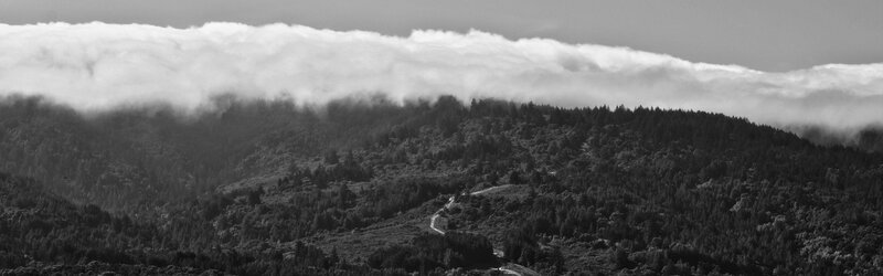 Forest hill with clouds