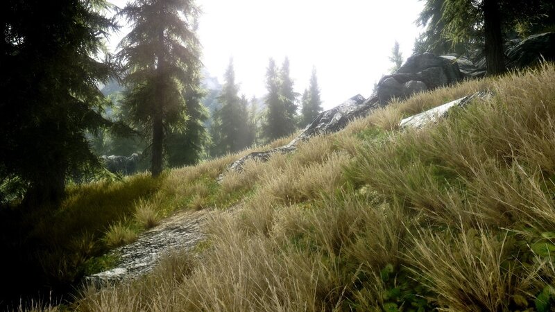 Forest Hill with Tall Grass — Green
