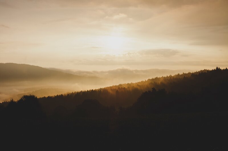 Forest Hills at Sunrise