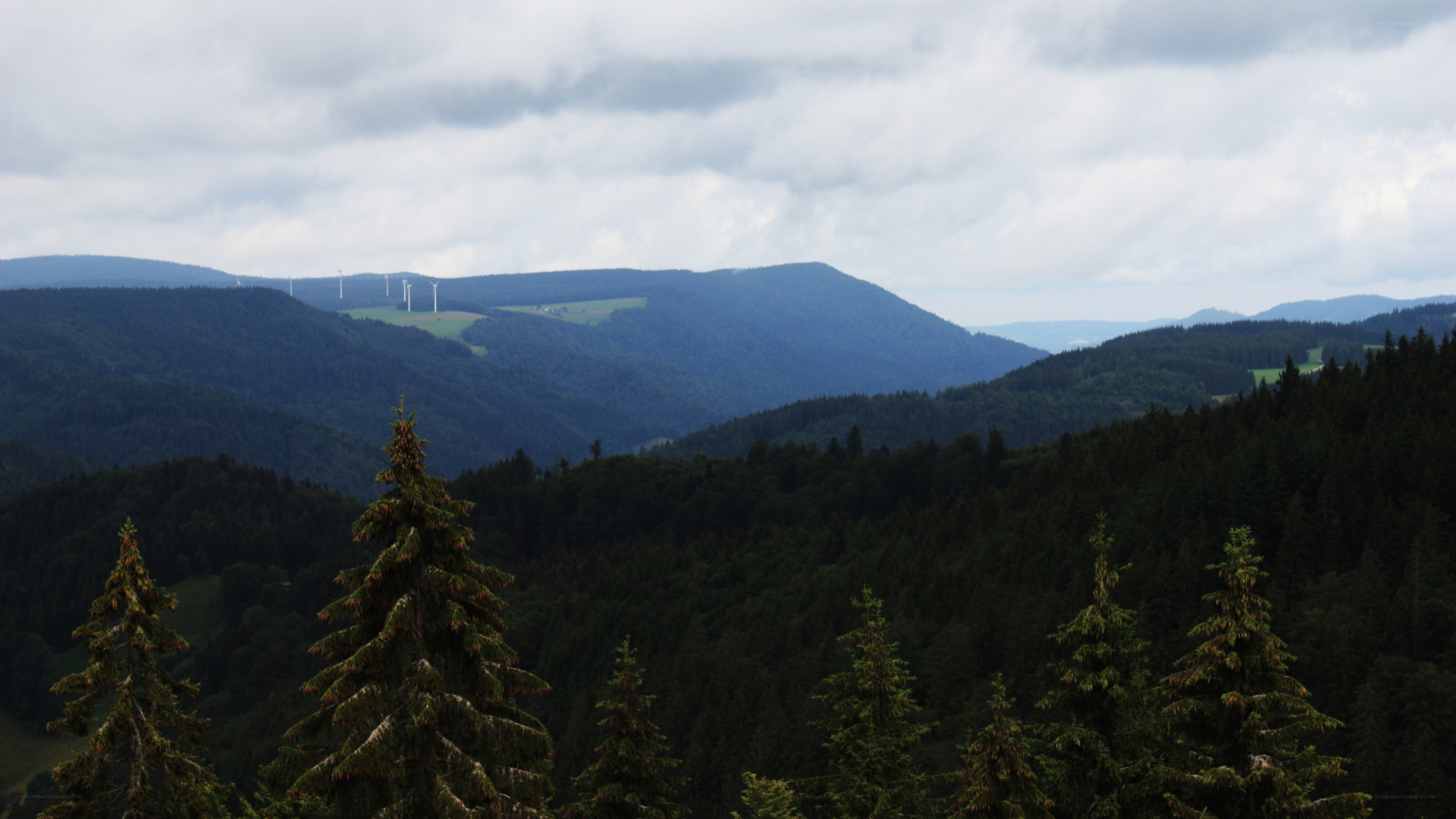 Forest hills with wind turbines