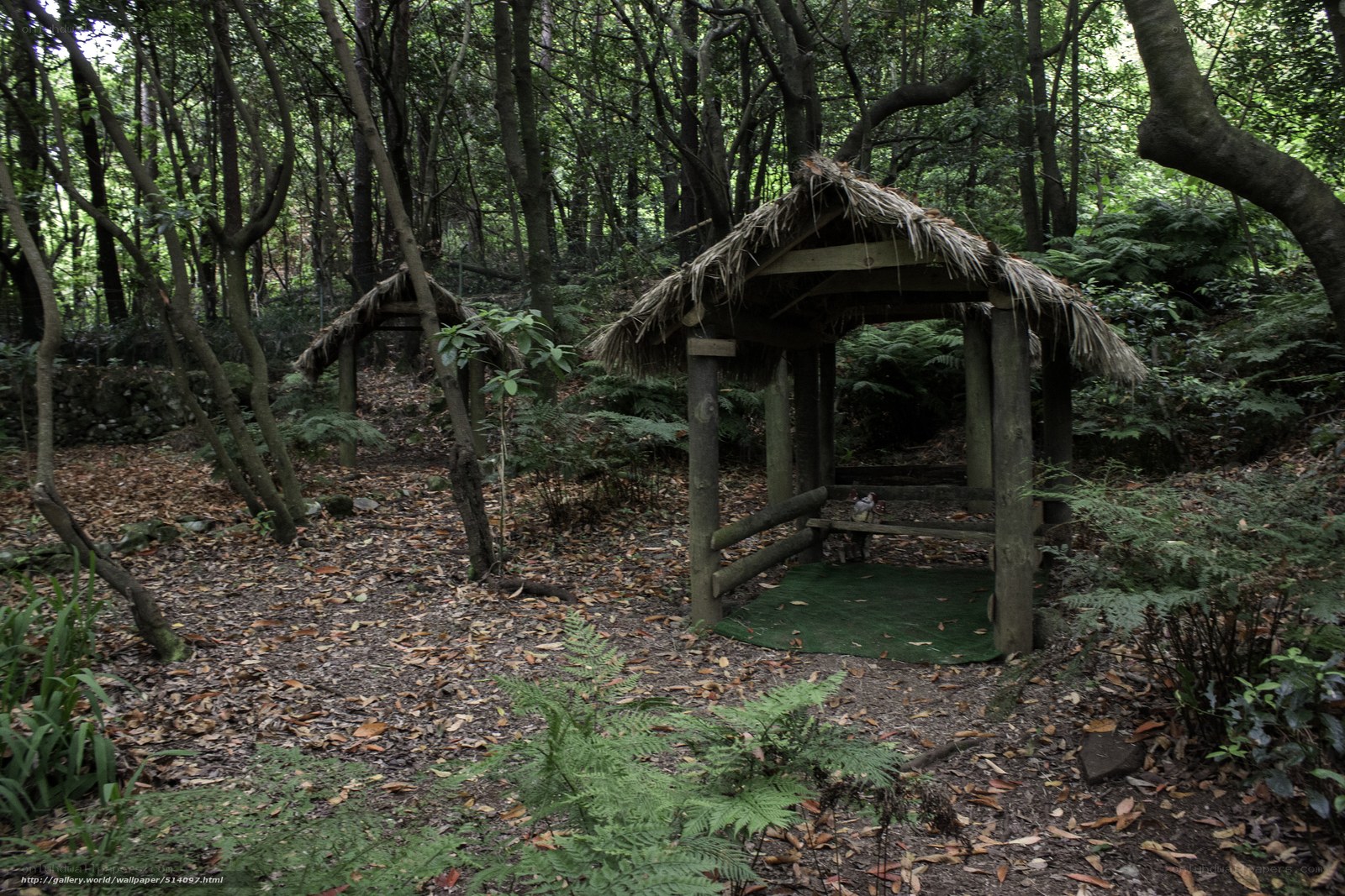 Forest huts in a wooded area