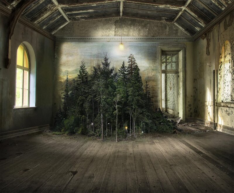 Forest in Abandoned Room