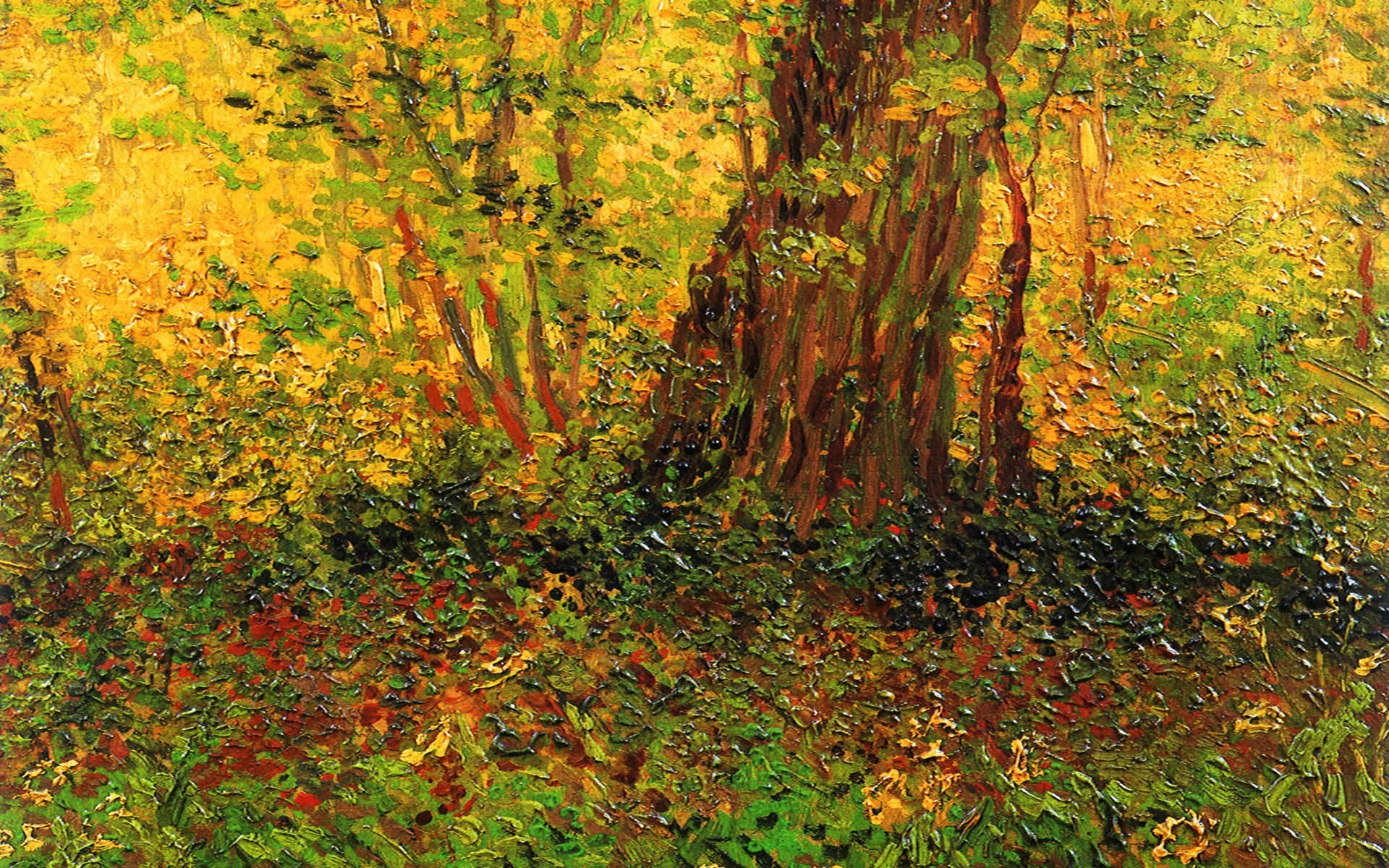 Forest in autumn colors