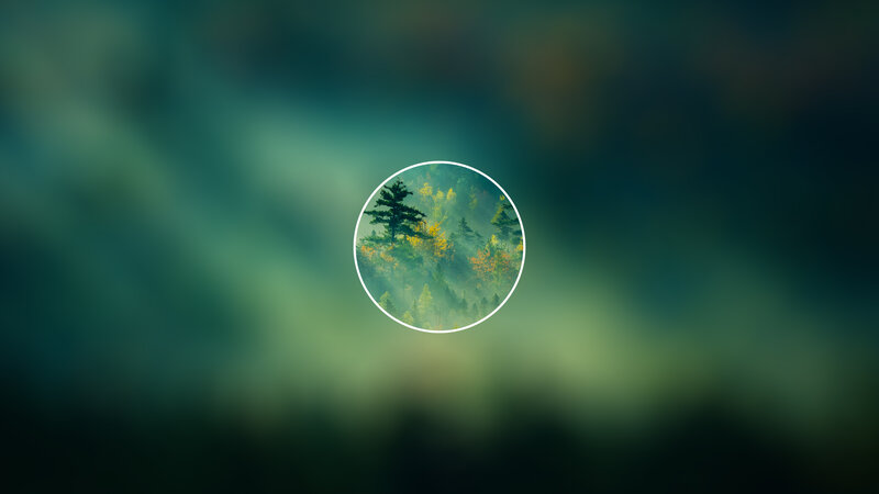 Forest in Circular Frame