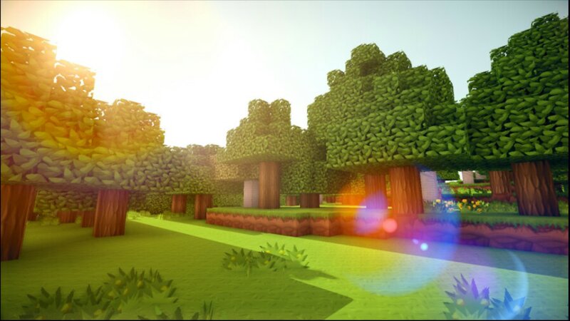 Forest in Video Game