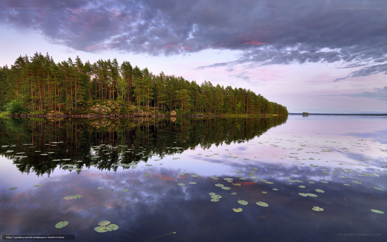 Forest island at dusk