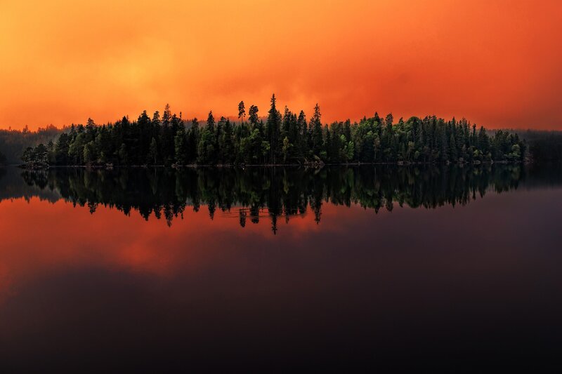 Forest Island at Sunset