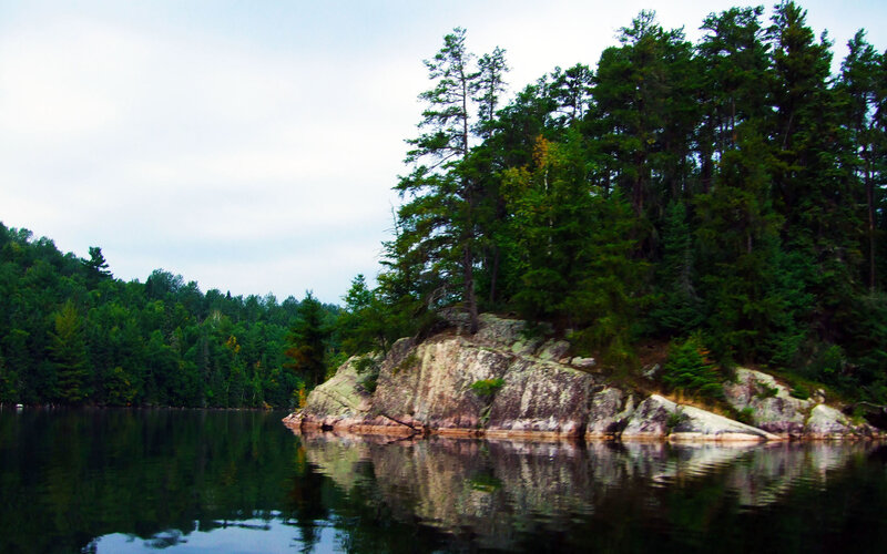 forest island in calm lake