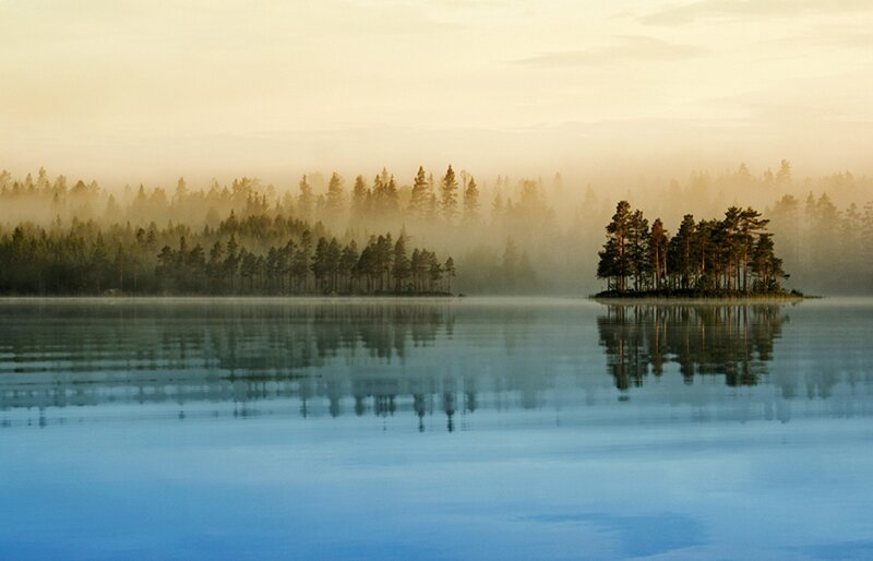 Forest Island in Lake