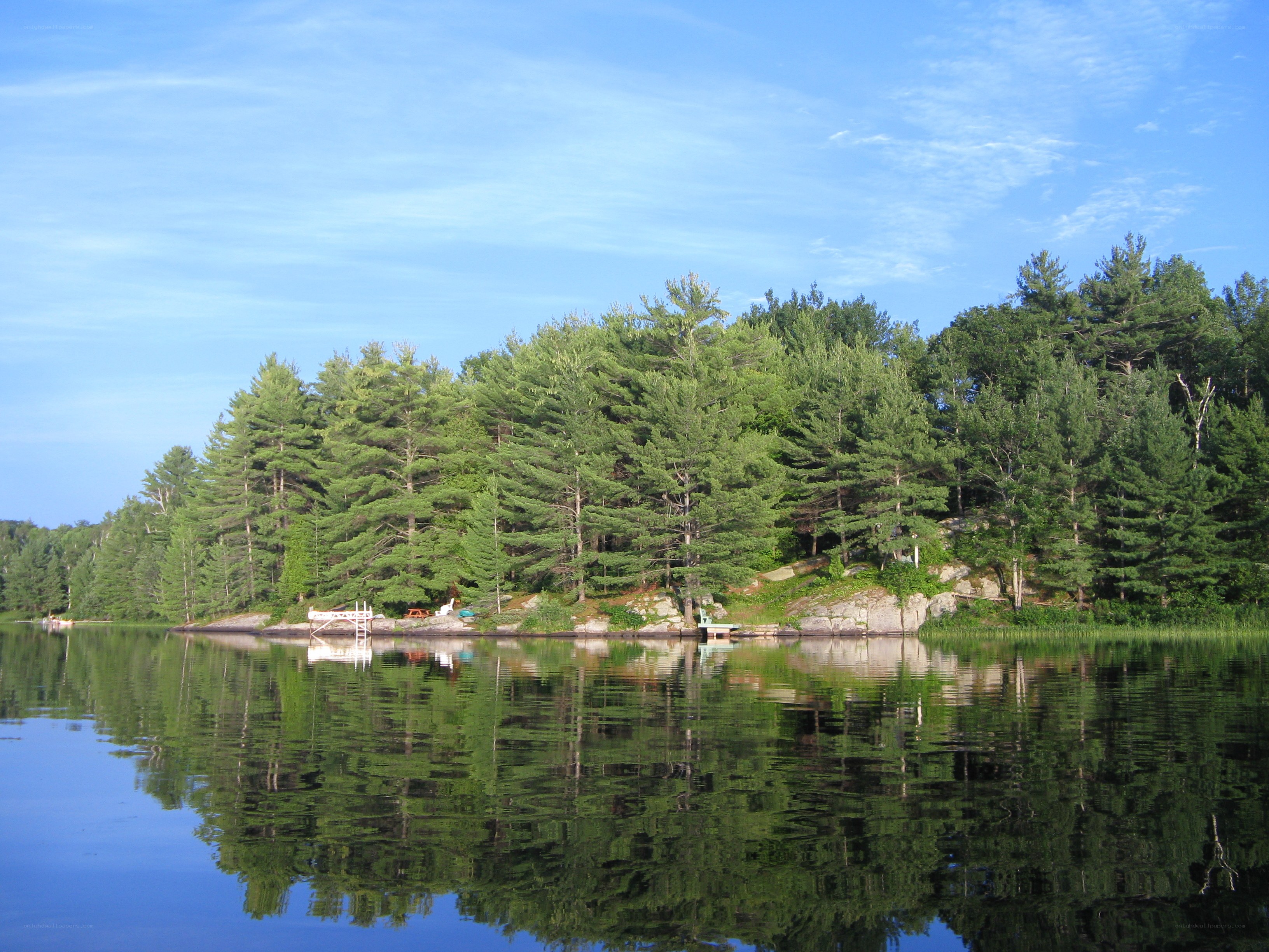 Forest island on calm lake