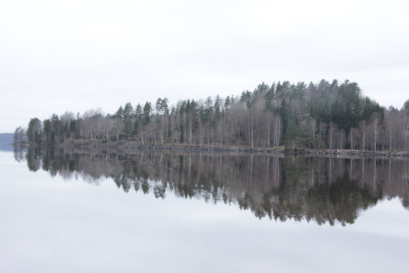 Forest Island Reflection