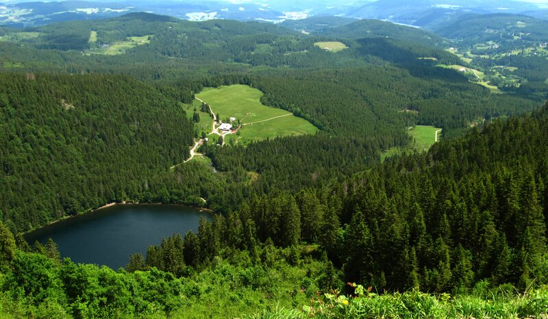 Forest Lake and Valley