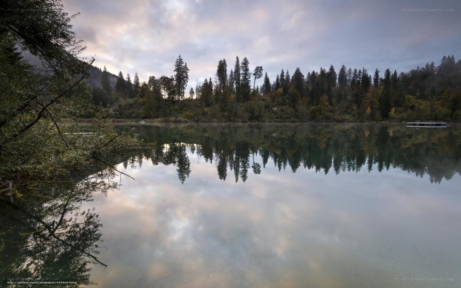 Forest lake at dawn