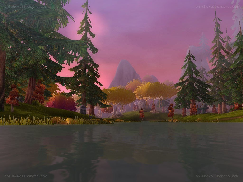 Forest lake at dusk