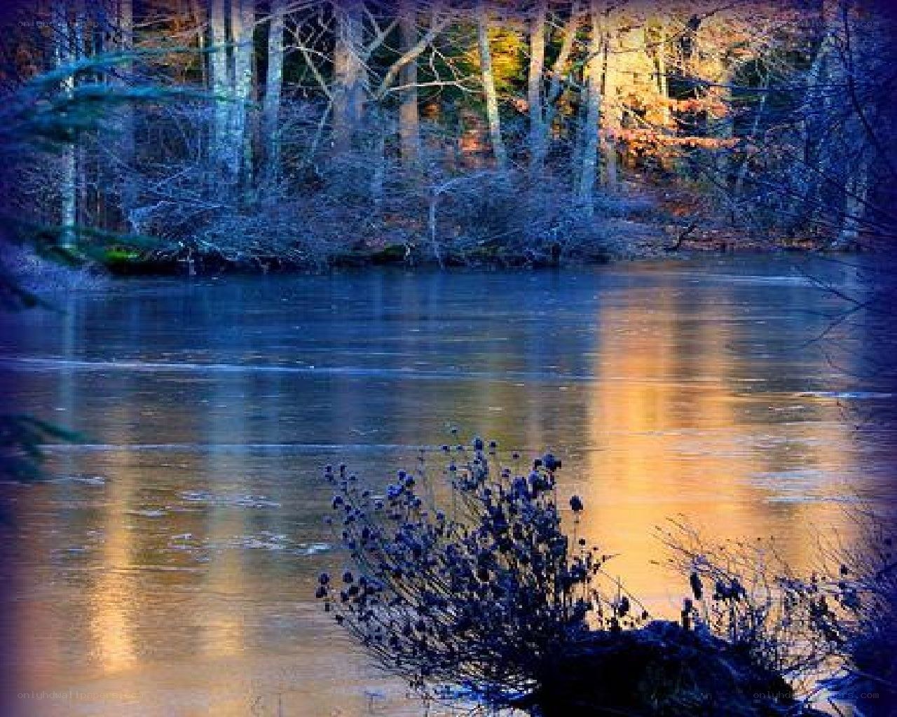 Forest lake at dusk