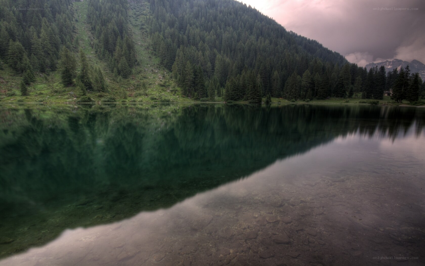 Forest lake at dusk