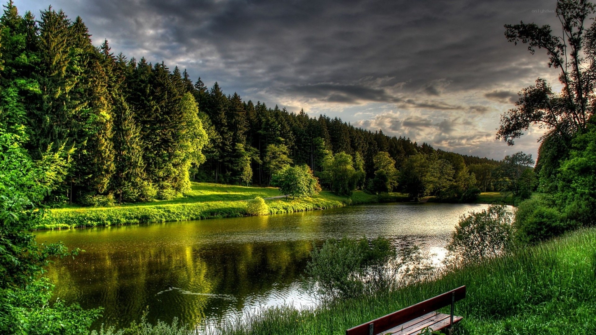 Forest lake at dusk