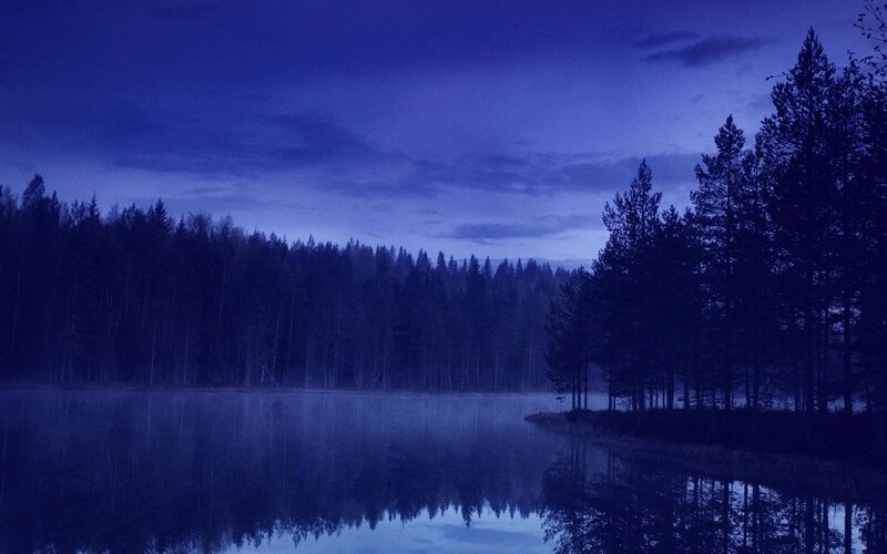 Forest Lake at Dusk — Blue, Serene, Night, Photograph, Trees, Fog