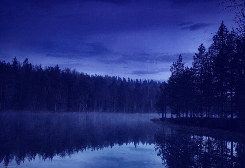 Forest Lake at Dusk — Blue, Serene, Night