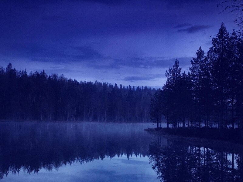Forest Lake at Dusk — Blue, Serene