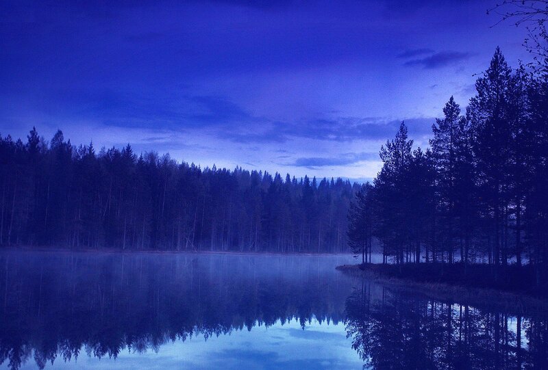 Forest Lake at Dusk — Blue