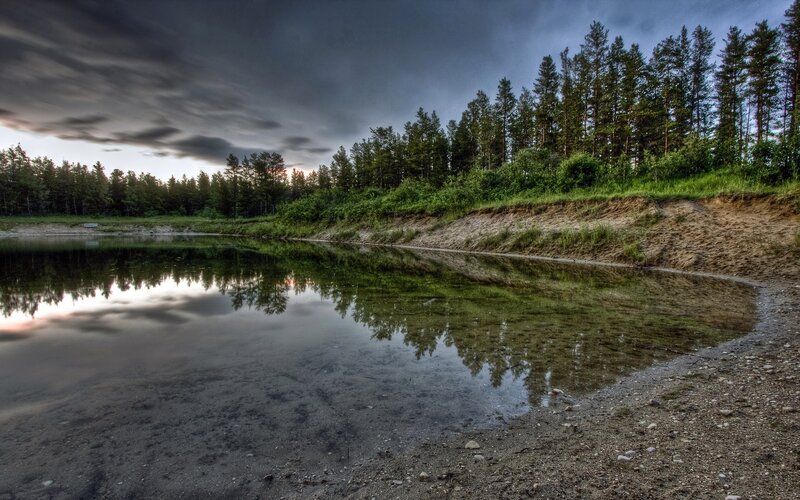 Forest Lake at Dusk — Green, Dramatic