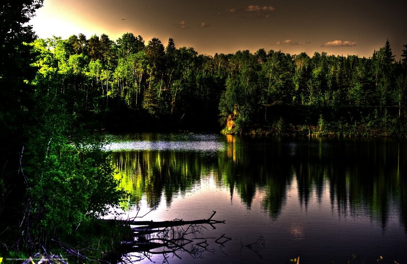 Forest Lake at Dusk — Green, Serene