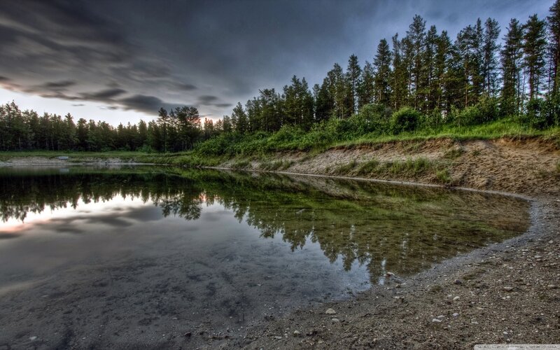 Forest Lake at Dusk — Green
