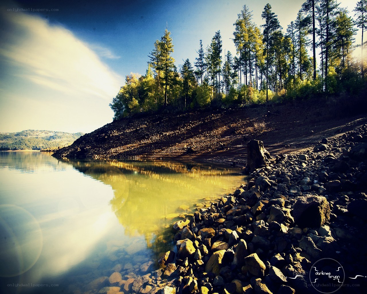 Forest lake at golden hour