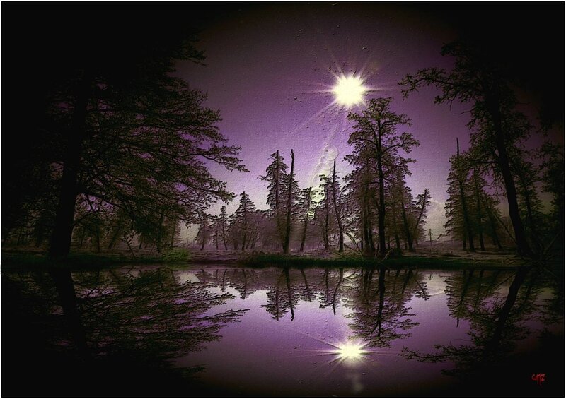 Forest Lake at Night — Purple