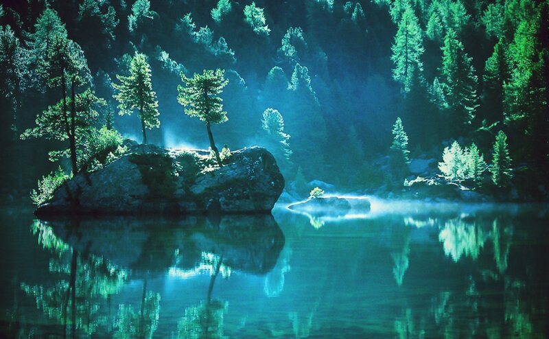 Forest Lake at Night