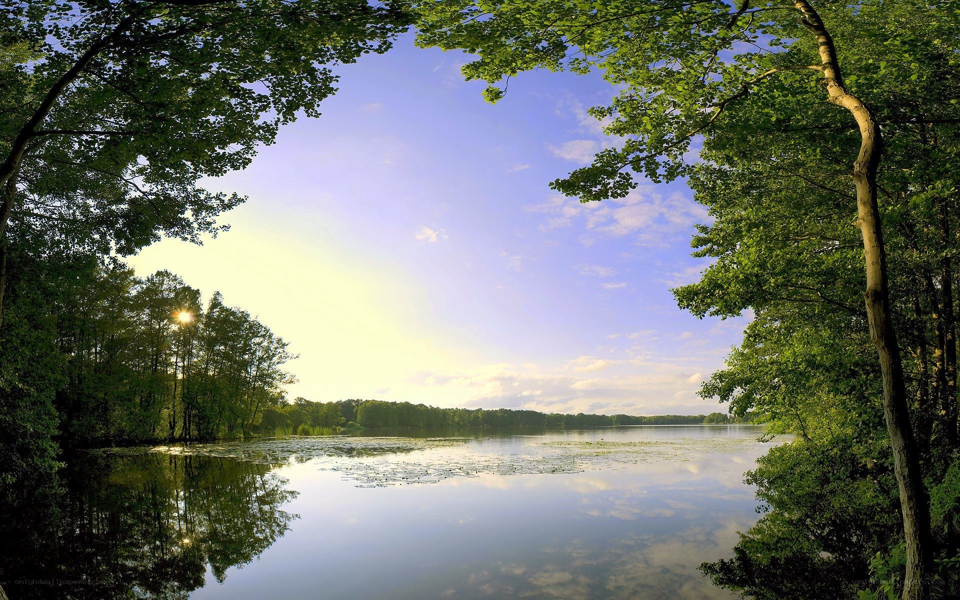 Forest lake at sunrise