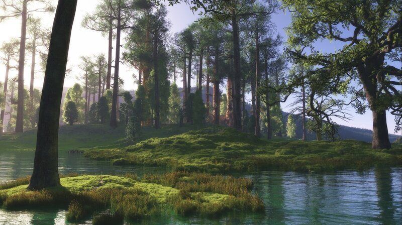 Forest lake at sunrise