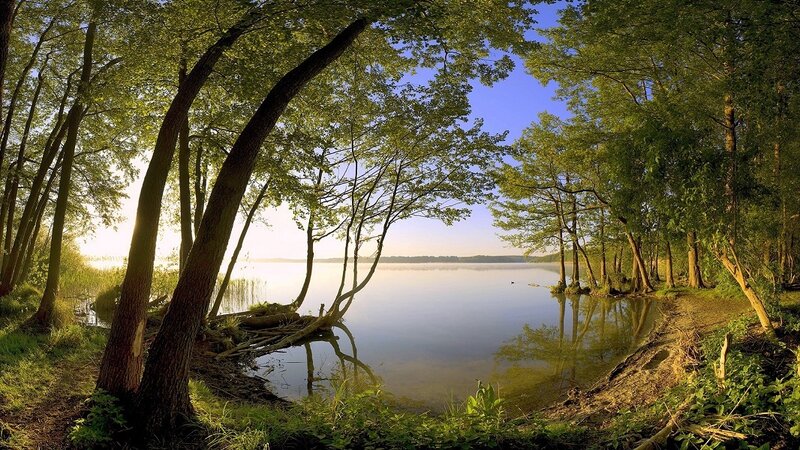 Forest lake at sunrise