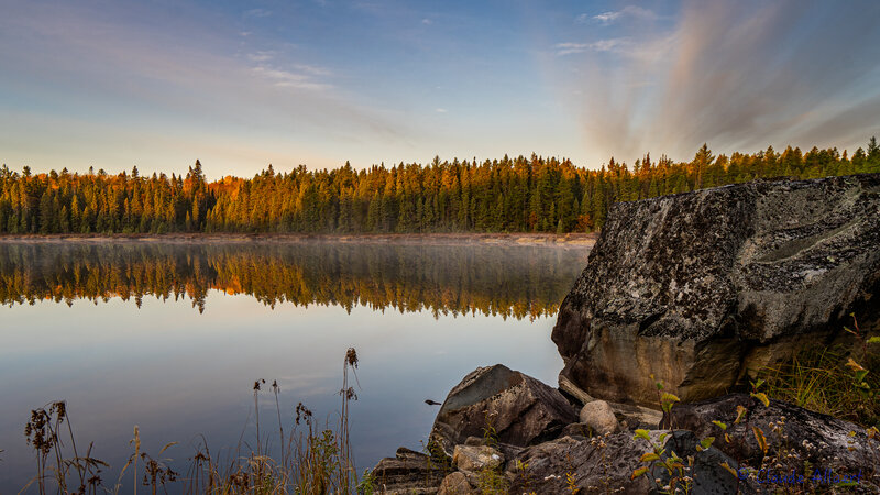 Forest Lake at Sunrise — Blue