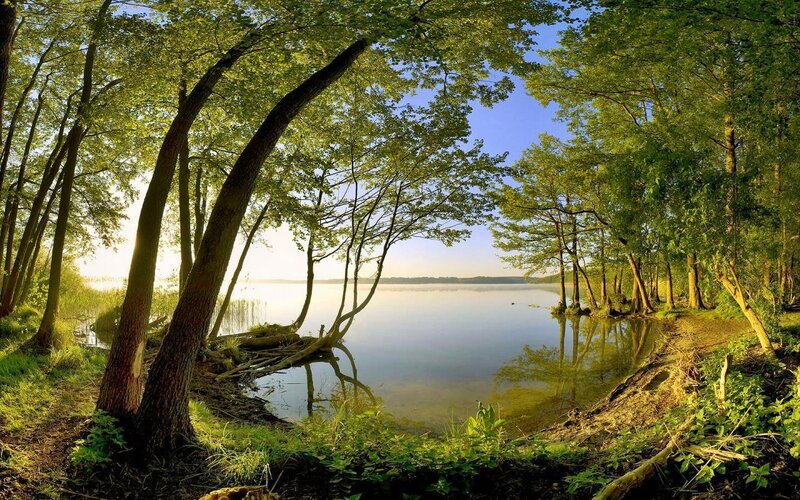 Forest Lake at Sunrise — Green