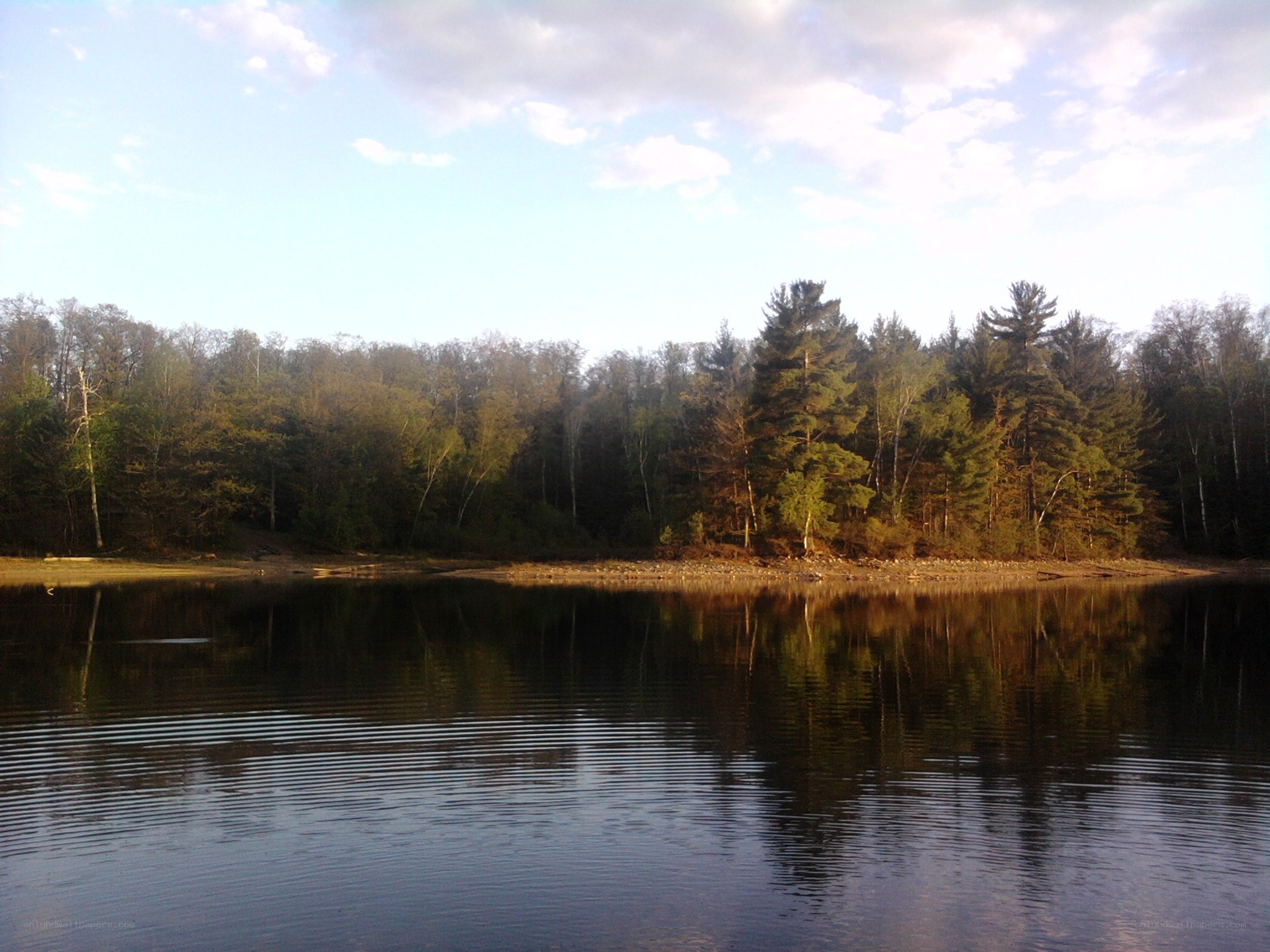 Forest lake at sunset